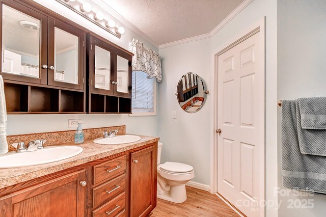 20 Jessica Ln, Barnardsville, NC 28709 - bathroom with double vanity, wood finished floors, a textured ceiling, and crown molding