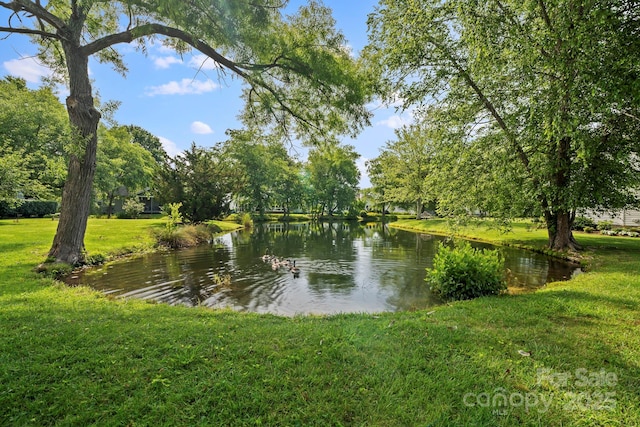 230 Blue Heron Dr Unit 57, Mills River, NC 28759 - photo 44