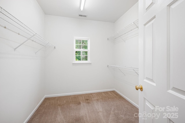 7731 Sedgebrook Dr E, Stanley, NC 28164 - spacious closet with carpet flooring
