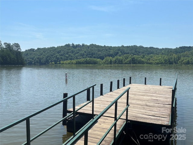 28 Fallen Tree Ln, Mill Spring, NC 28756