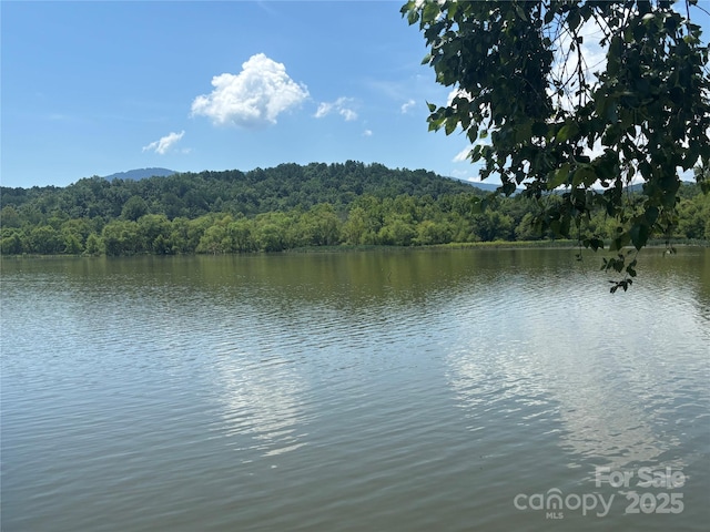 28 Fallen Tree Ln, Mill Spring, NC 28756
