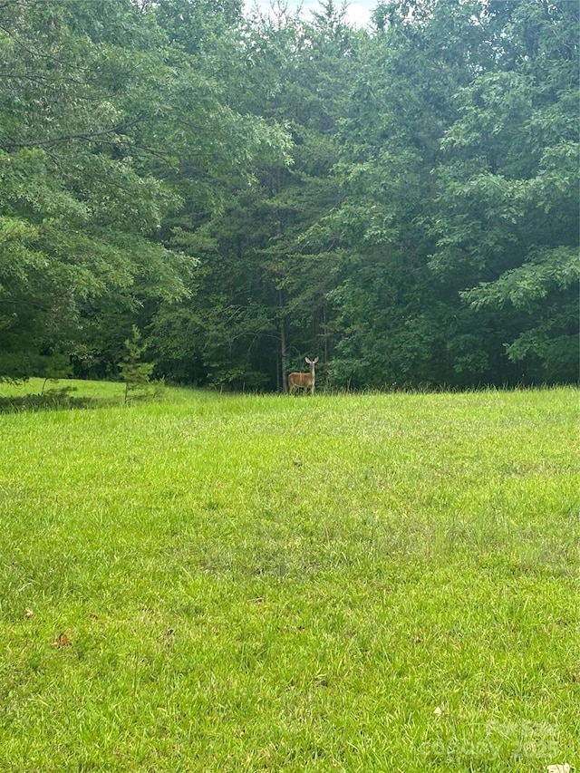 28 Fallen Tree Ln, Mill Spring, NC 28756