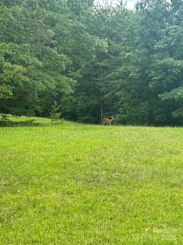 28 Fallen Tree Ln, Mill Spring, NC 28756