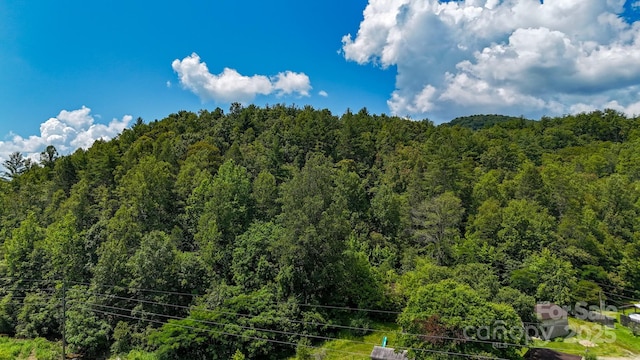00 Relaxation Pl, Lenoir, NC 28645 - photo 17