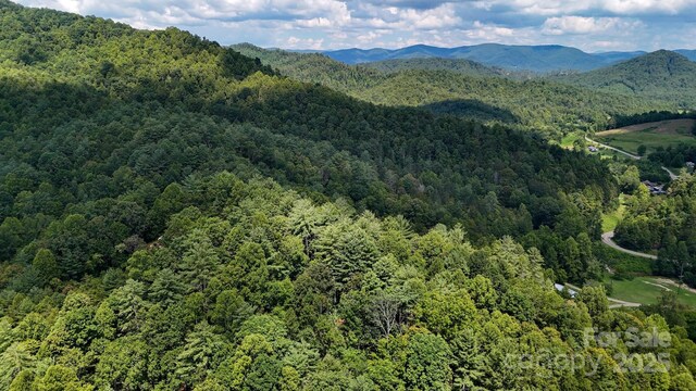 00 Relaxation Pl, Lenoir, NC 28645 - photo 3