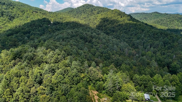 00 Relaxation Pl, Lenoir, NC 28645 - photo 4