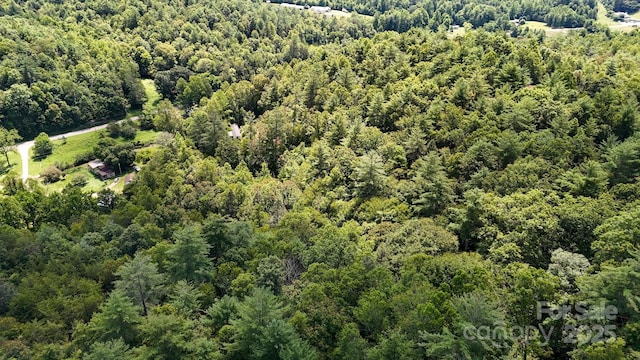 00 Relaxation Pl, Lenoir, NC 28645 - photo 5