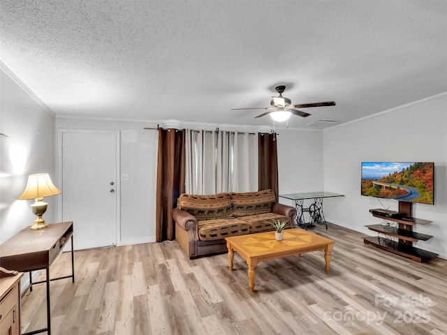 207 Norris Rd, Otto, NC 29763 - photo 5