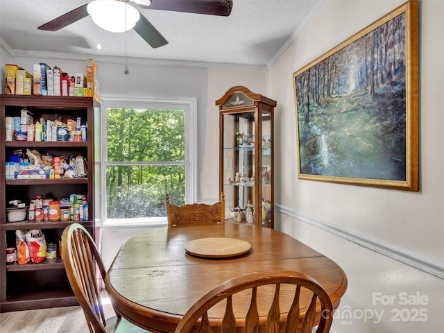 207 Norris Rd, Otto, NC 29763 - photo 7