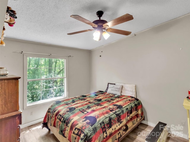 207 Norris Rd, Otto, NC 29763 - photo 10