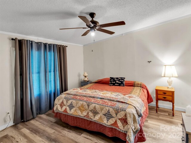 207 Norris Rd, Otto, NC 29763 - photo 11