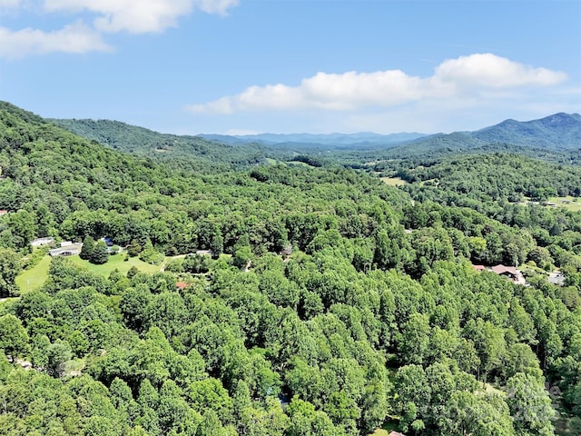 207 Norris Rd, Otto, NC 29763 - photo 25
