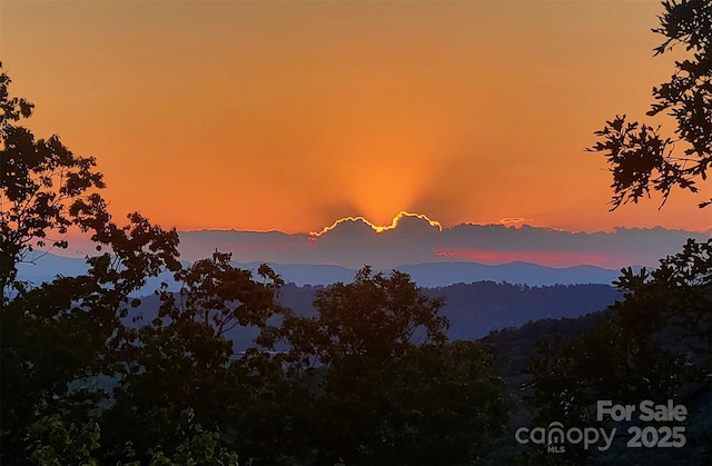 16 Skyview Ct, Asheville, NC 28803 - photo 2