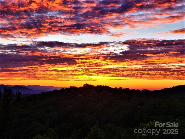 16 Skyview Ct, Asheville, NC 28803 - photo 4