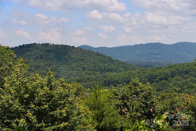 16 Skyview Ct, Asheville, NC 28803 - photo 18