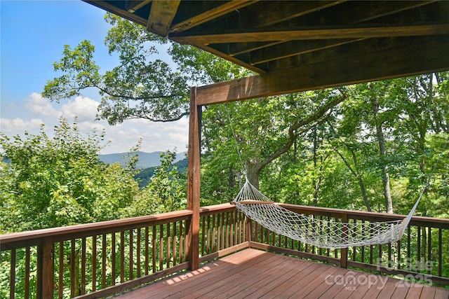 16 Skyview Ct, Asheville, NC 28803 - photo 36