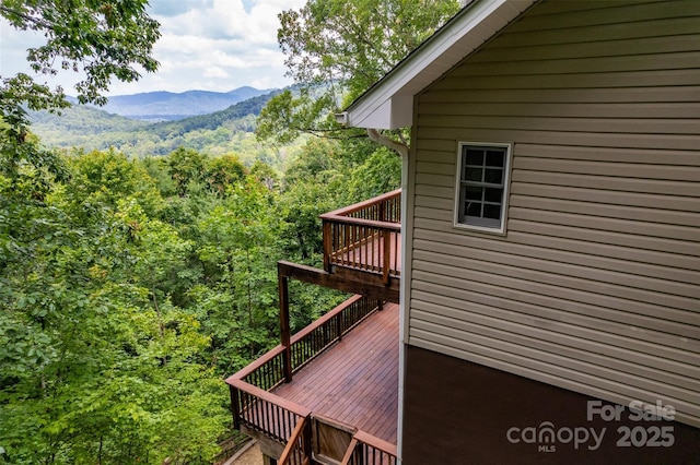 16 Skyview Ct, Asheville, NC 28803 - photo 38