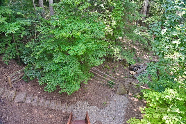 16 Skyview Ct, Asheville, NC 28803 - photo 41