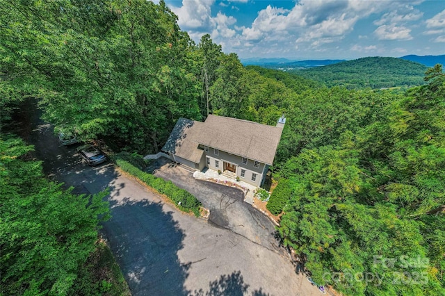 16 Skyview Ct, Asheville, NC 28803 - photo 44