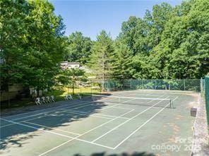 16 Skyview Ct, Asheville, NC 28803 - photo 47