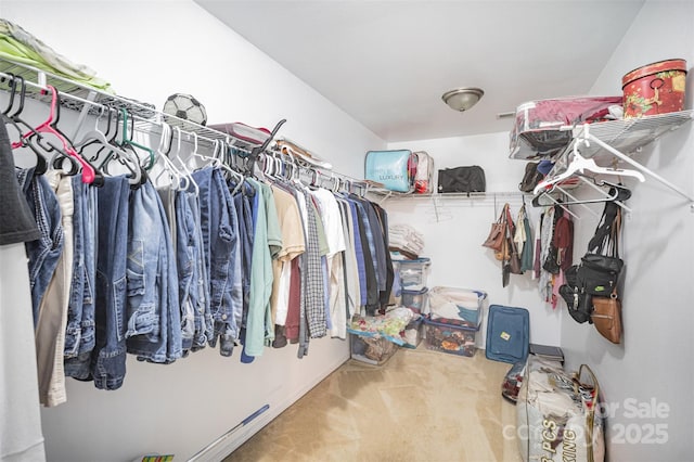 4732 Meadowfield Rd Unit L35, Charlotte, NC 28215 - spacious closet featuring carpet floors