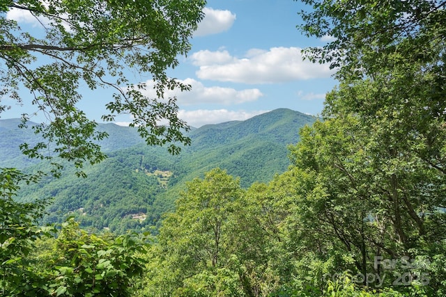 1253 Forest Dr, Maggie Valley, NC 28751 - photo 14