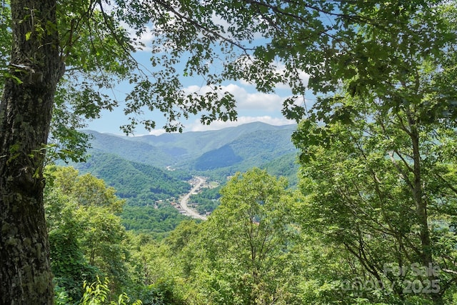 1253 Forest Dr, Maggie Valley, NC 28751 - photo 40