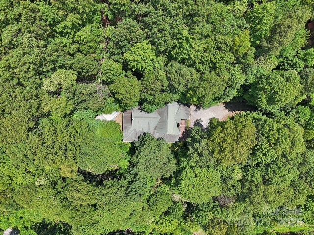 1253 Forest Dr, Maggie Valley, NC 28751 - photo 41