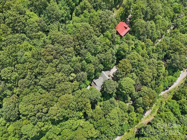 1253 Forest Dr, Maggie Valley, NC 28751 - photo 42