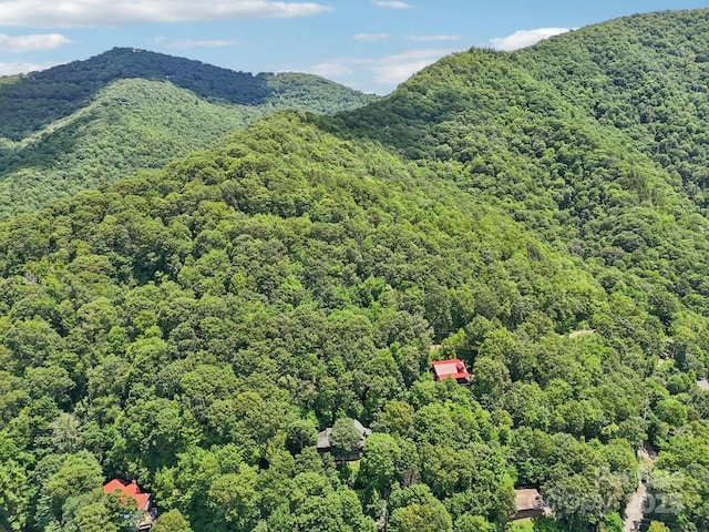 1253 Forest Dr, Maggie Valley, NC 28751 - photo 43