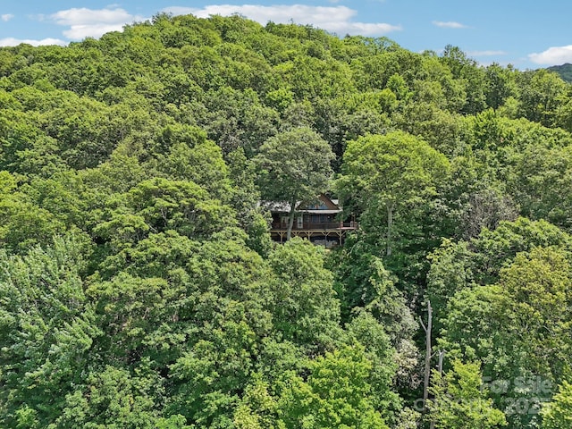 1253 Forest Dr, Maggie Valley, NC 28751 - photo 7