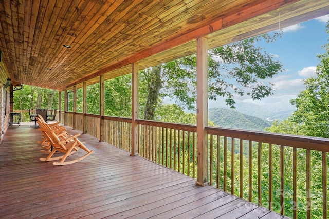 1253 Forest Dr, Maggie Valley, NC 28751 - photo 8