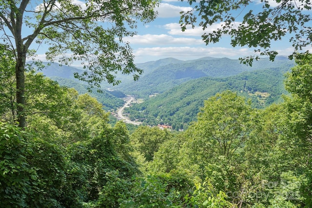 1253 Forest Dr, Maggie Valley, NC 28751 - photo 11