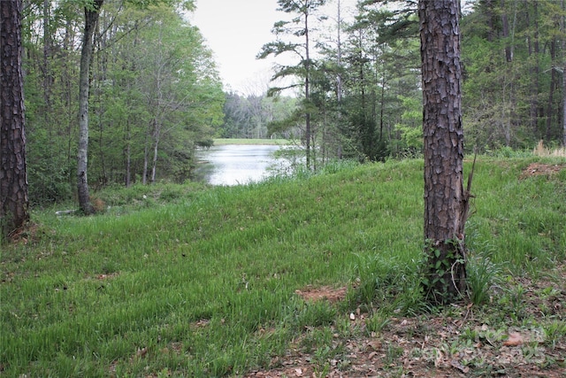 808 Bellegray Rd Unit 13, Clover, SC 29710 - photo 1