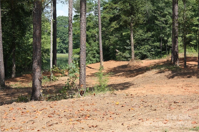 808 Bellegray Rd Unit 13, Clover, SC 29710 - photo 3