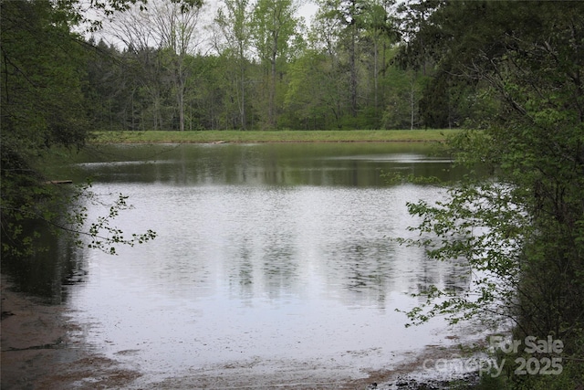 808 Bellegray Rd Unit 13, Clover, SC 29710 - photo 5