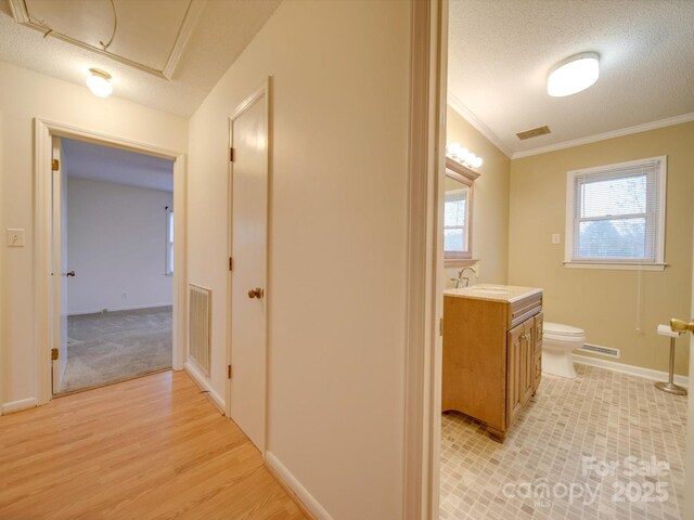 3113 Old Pageland Marshville Rd, Wingate, NC 28174 - corridor featuring crown molding, light wood finished floors, and a textured ceiling