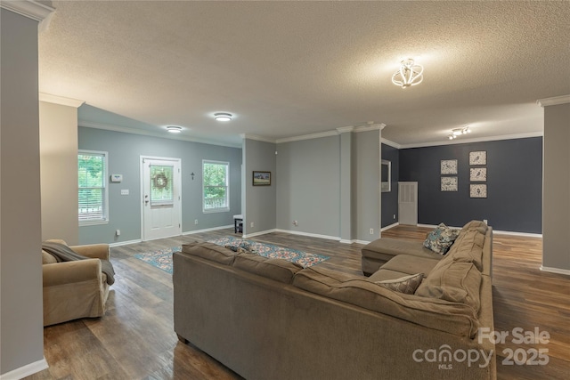 1191 Saluda Rd, Chester, SC 29706 - photo 5