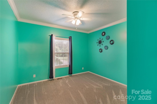 1191 Saluda Rd, Chester, SC 29706 - photo 15