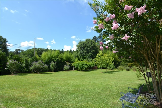 1191 Saluda Rd, Chester, SC 29706 - photo 25