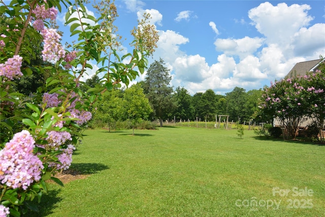 1191 Saluda Rd, Chester, SC 29706 - photo 26