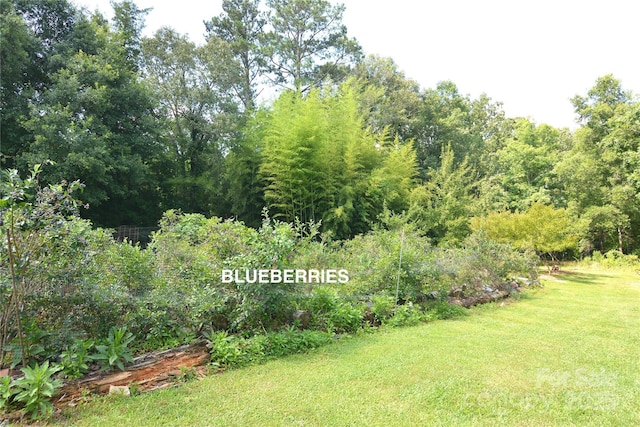 1191 Saluda Rd, Chester, SC 29706 - photo 27