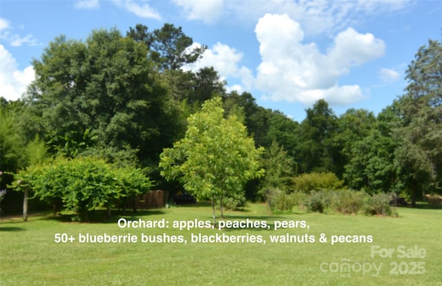 1191 Saluda Rd, Chester, SC 29706 - photo 28