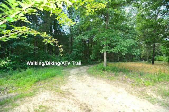 1191 Saluda Rd, Chester, SC 29706 - photo 31
