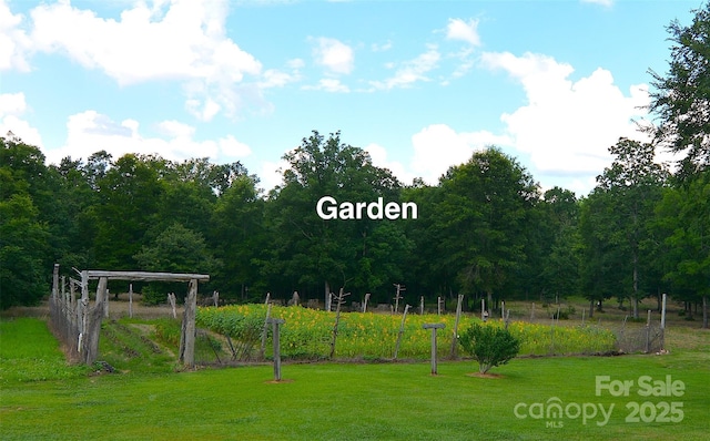 1191 Saluda Rd, Chester, SC 29706 - photo 32