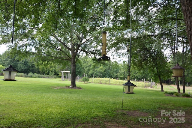 1191 Saluda Rd, Chester, SC 29706 - photo 34