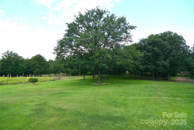 1191 Saluda Rd, Chester, SC 29706 - photo 35