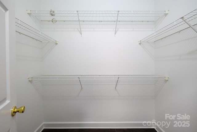 795 Peninsula Dr, Davidson, NC 28036 - view of walk in closet