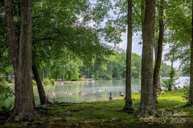 795 Peninsula Dr, Davidson, NC 28036 - water view