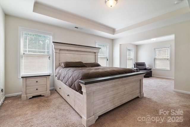 12704 Franklin Square Rd, Charlotte, NC 28213 - bedroom featuring crown molding, light colored carpet, and a tray ceiling
